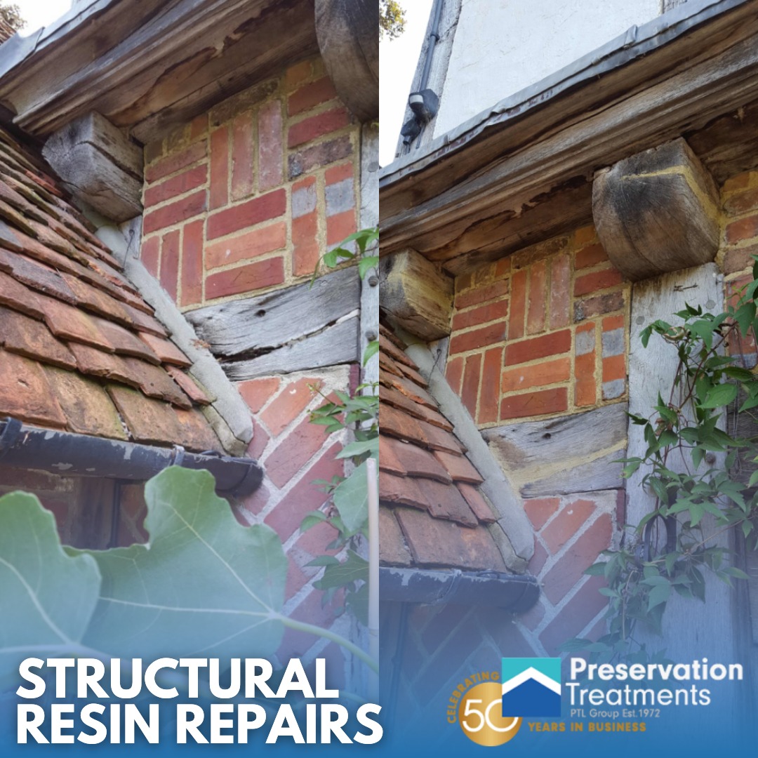 🔨 Restoring historic structural timbers requires expertise and care. From addressing wood-boring insect damage to wood-rotting fungi, our team ensures repairs maintain structural integrity while respecting historical and aesthetic value.

#PreservationTreatments