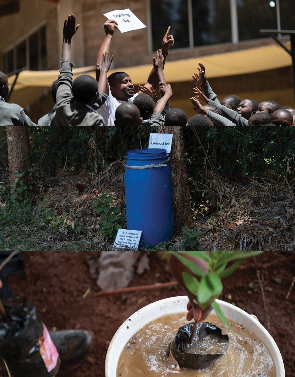 Derrick Milimo tweet media