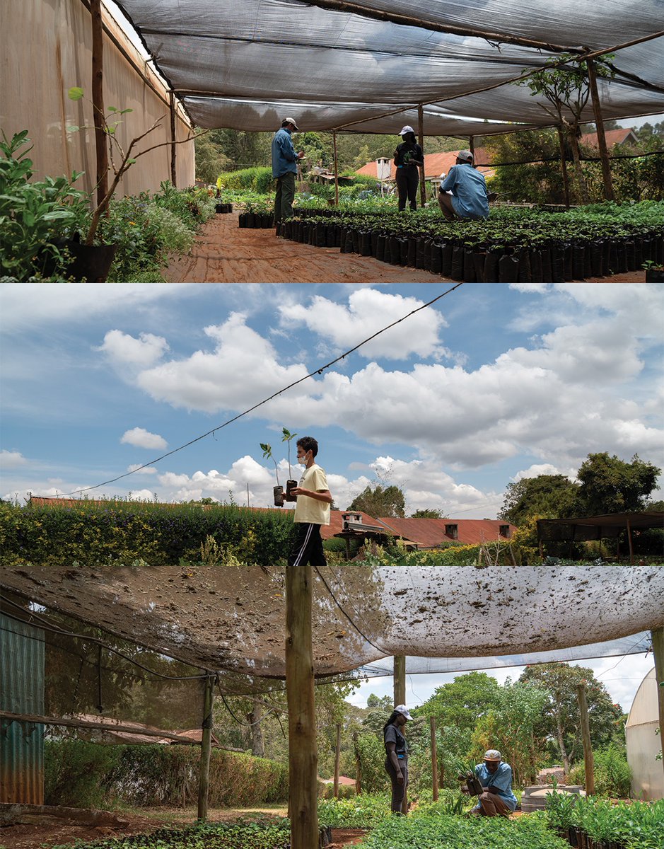 Derrick Milimo tweet media