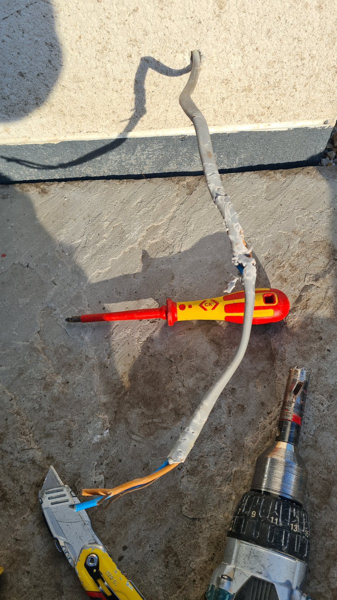 Dogknob1 tweet media