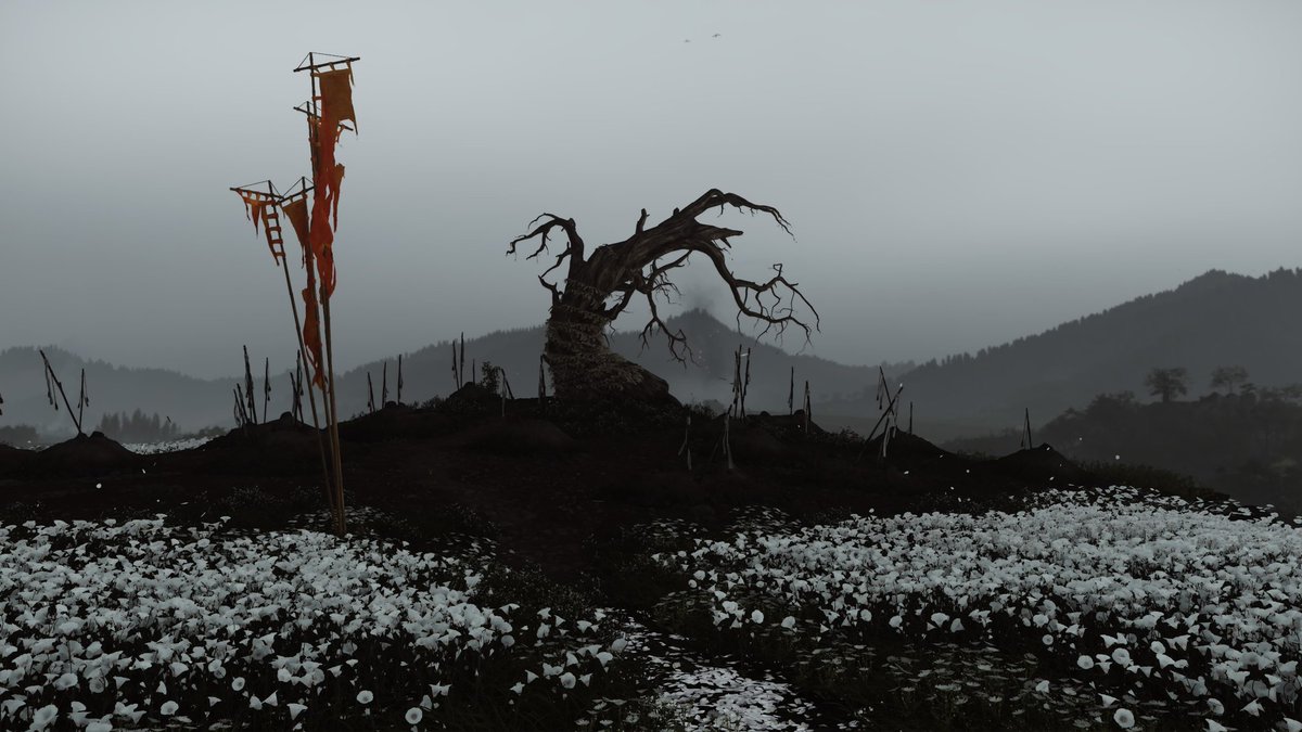 Sesha_CR7📸 tweet media