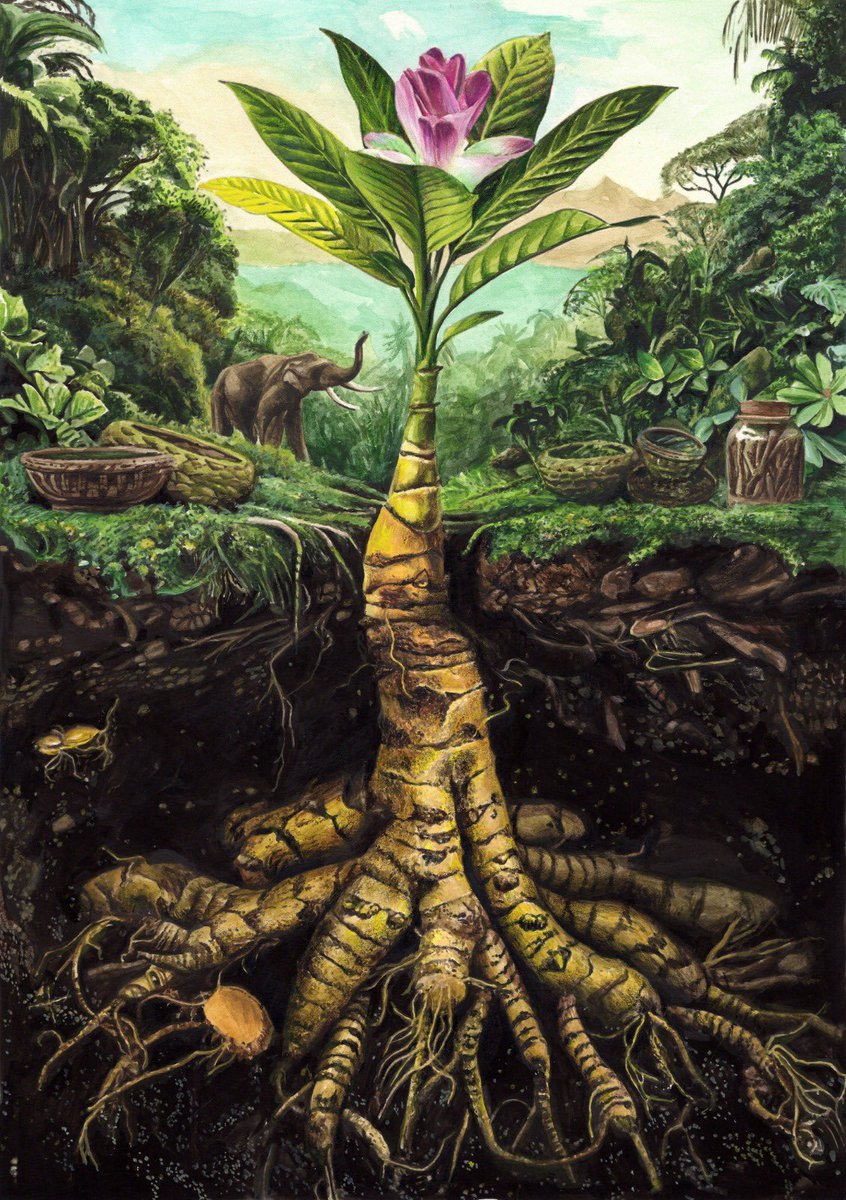 Francine Pickup tweet media