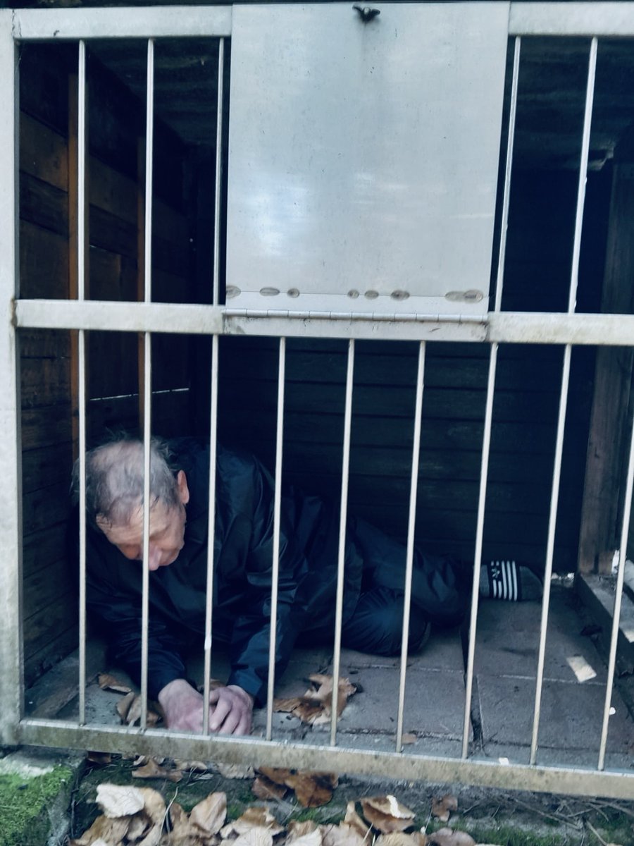 Mistress Henriette tweet media