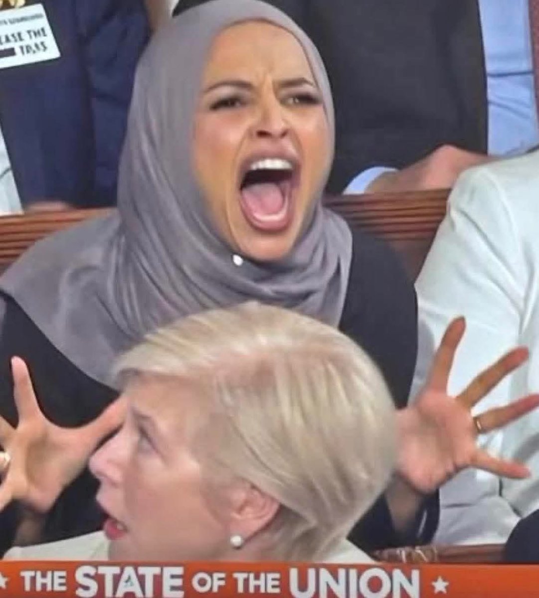 thuy_lowe's tweet photo. My new MEME for obnoxious, unhinged, possessed enemy of the state! 🤣🤣🤣 https://t.co/6C4iyU3Ndi
