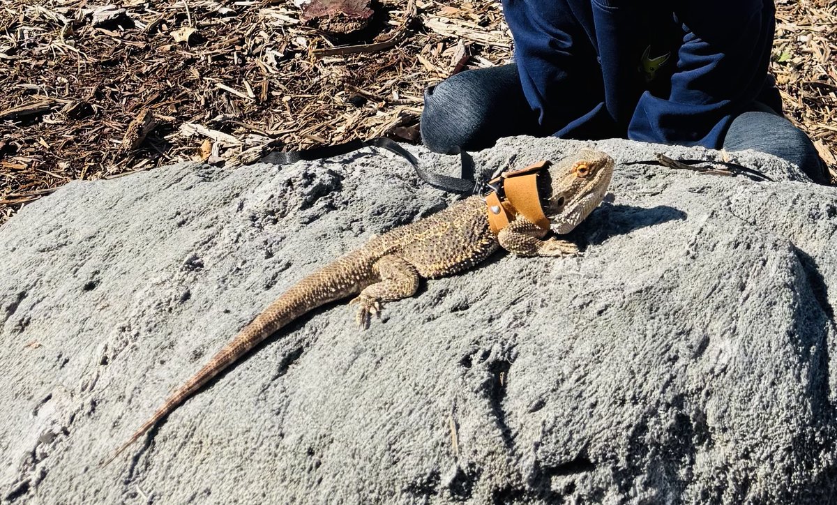 VICO 👾 tweet media