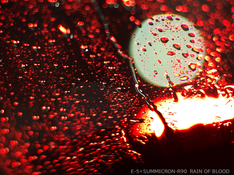 よこはまSH531/JJ1OLH/(Revy) tweet media