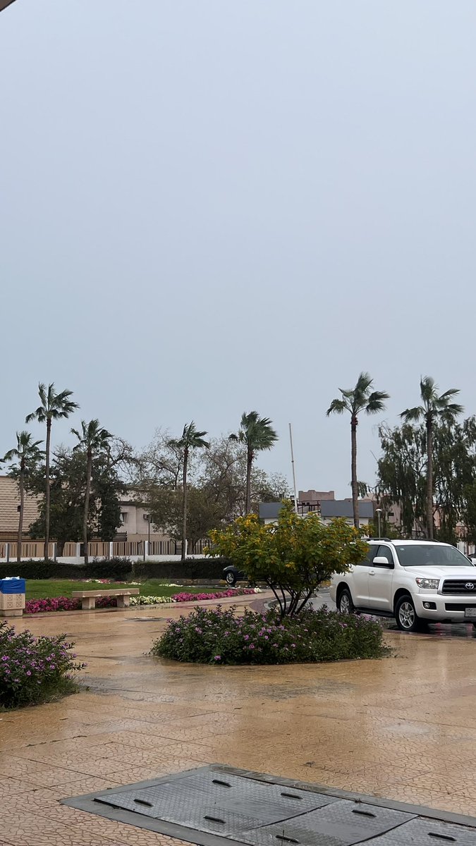 مطرٌ.. وتأسر القلب روعتهُ
فكيف إن كانَ في رمضانِ؟
