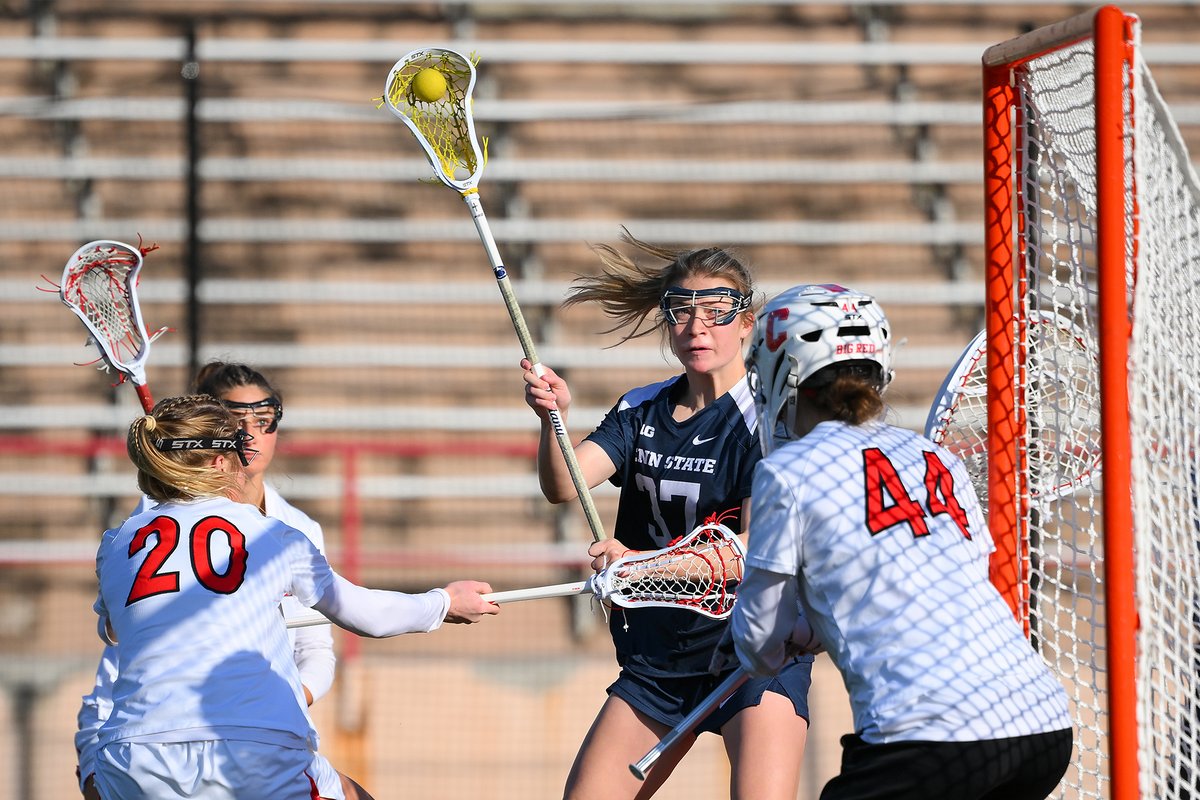 Rich Barnes tweet media