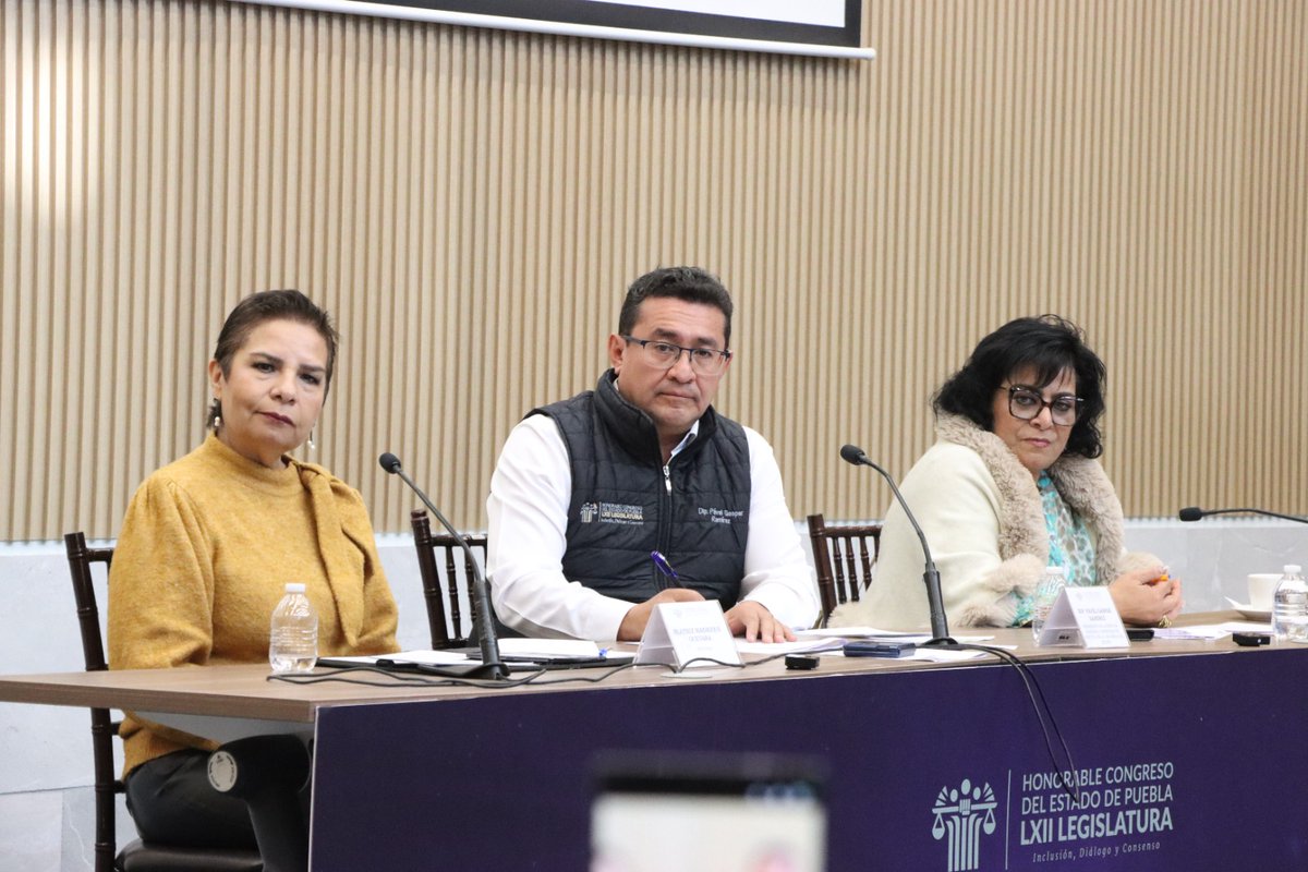 vmpuebla's tweet photo. Política | Diputada Beatriz #Manrique Guevara propone #declarar el 18 de junio como el día estatal de la y el combatiente #forestal en #Puebla
@BetyManrique
@CongresoPue
#VisiónMetrópoli
Visítanos
https://t.co/pcR4Ajbsn1
https://t.co/yS5IMHcUgn https://t.co/xPcte3vxbJ