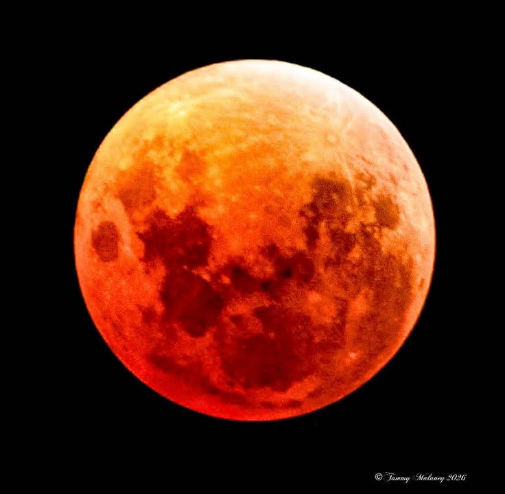 granttosterudwx's tweet image. An amazing shot of the blood moon total lunar eclipse early this morning from Cimarron, NM!
📸 Tammy Malaney