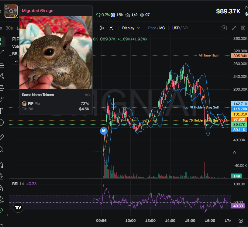 badattrading_'s tweet photo. $PIP (CA EmmE4vNbe4MH8UxRPpMMax2HgfsZUcuMu5utern7pump) can't be analyzed with devsnightmare.  Donuttcrypto, Rioma, Zuki are top holders.

No major clusters on the bubblemap. CEX map cluster has 63.3%. Binance funded wallets have 20.5%, Coinbase 18.6%, Mexc 3.1%, Change Now 2%.

Top 70 holders have 65.8%, top 10 have 15.1%, 1.01k holders with an average bag at $90. Nfa