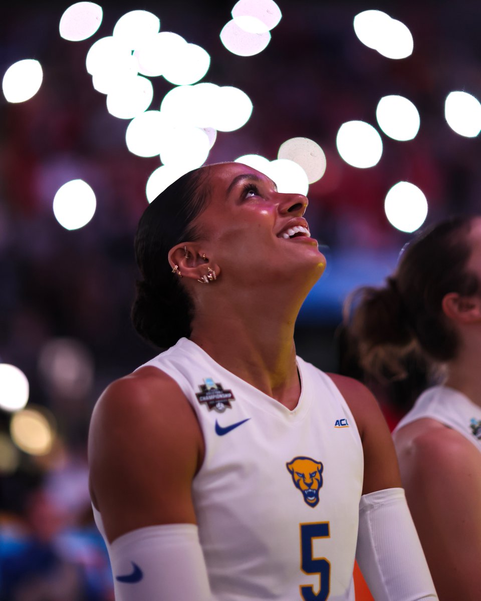 Pitt Volleyball tweet media