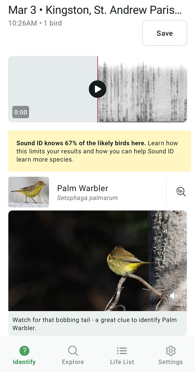 Paulaanneja's tweet photo. #BirdHeard using the #MerlinApp https://t.co/kpl6LVww6y