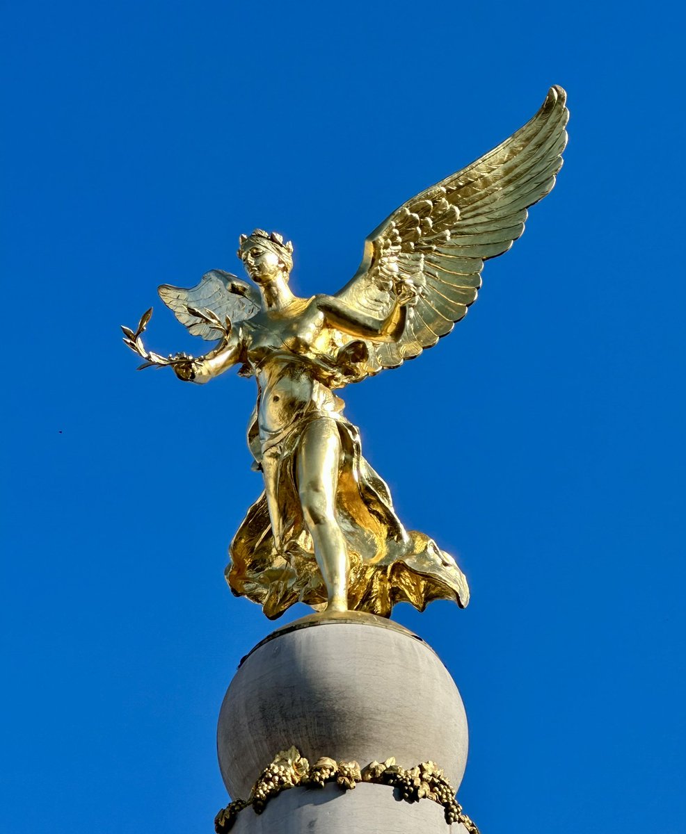 Reims Good News tweet media