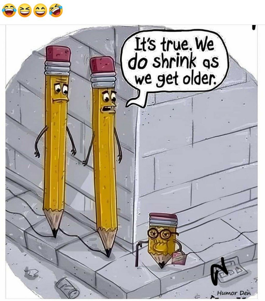 realbobandbrad's tweet image. Before you blame birthdays — check your posture.
Rounded shoulders + spinal compression over time = lost height.
The fix?
✔ Strengthen
✔ Stretch
✔ Stand tall

Your future self will thank you.
#AgingStrong #PostureCorrection #PhysicalTherapy