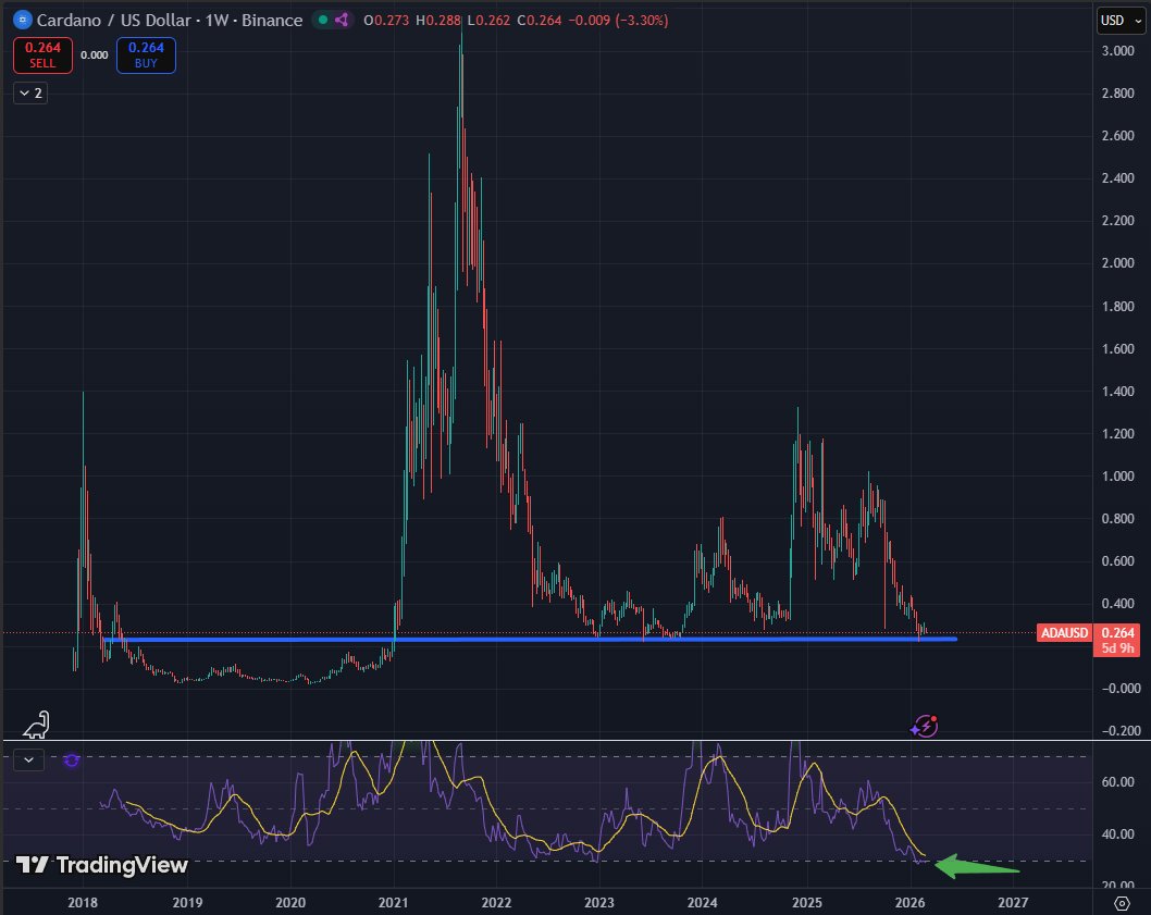 Sssebi🦁 tweet media
