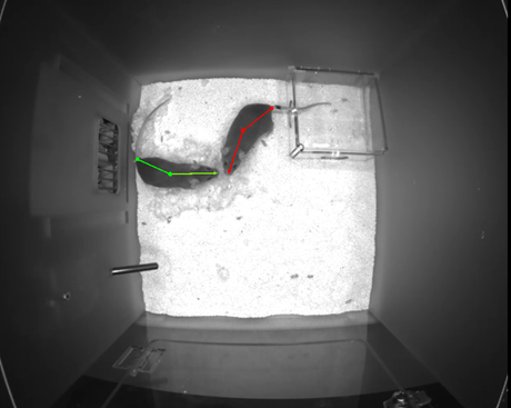 Noldus IT tweet media