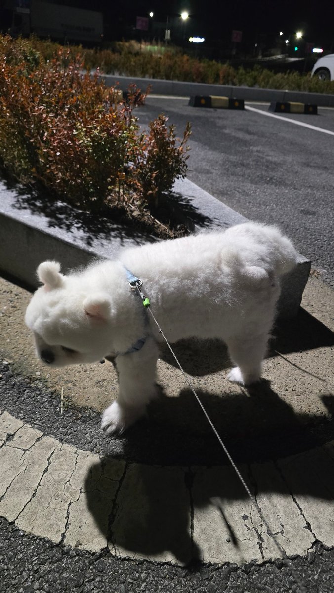 John👑 | 𝔽rAI tweet media