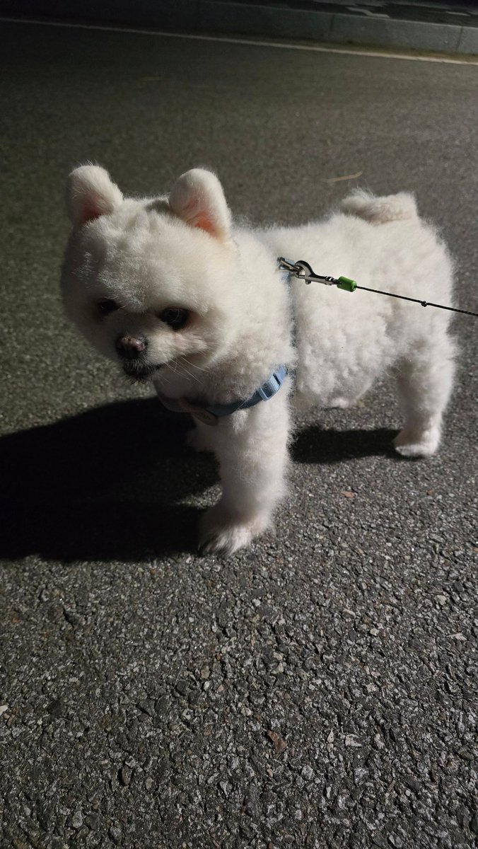 John👑 | 𝔽rAI tweet media