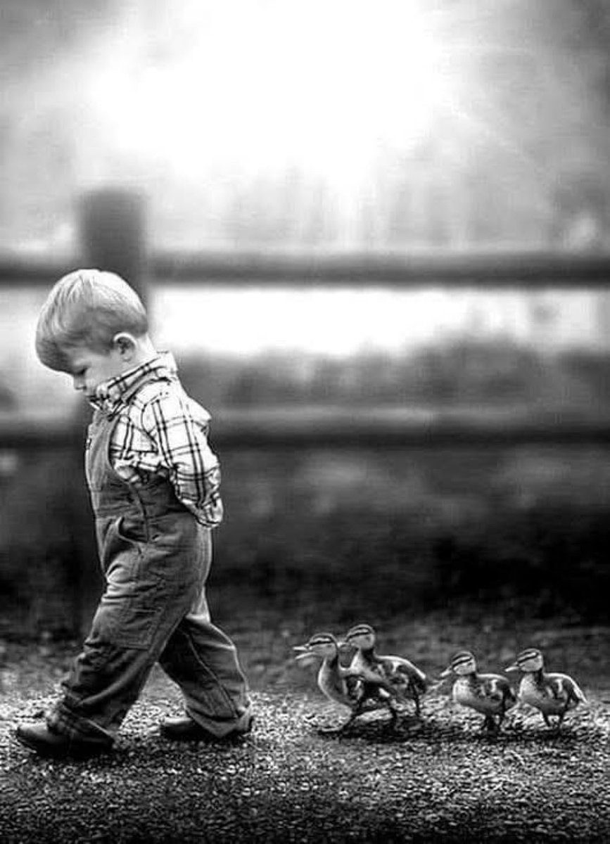 JamesMartirq7p's tweet photo. “A leader is one who knows the way, goes the way, and shows the way." ~John C. Maxwell https://t.co/DHeZ7GX0hj