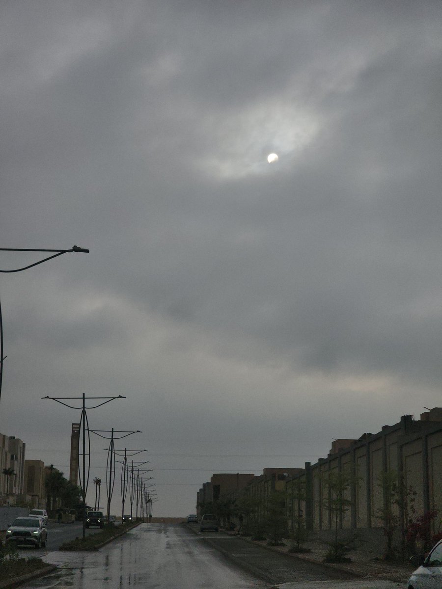 يازينتس يالرياض