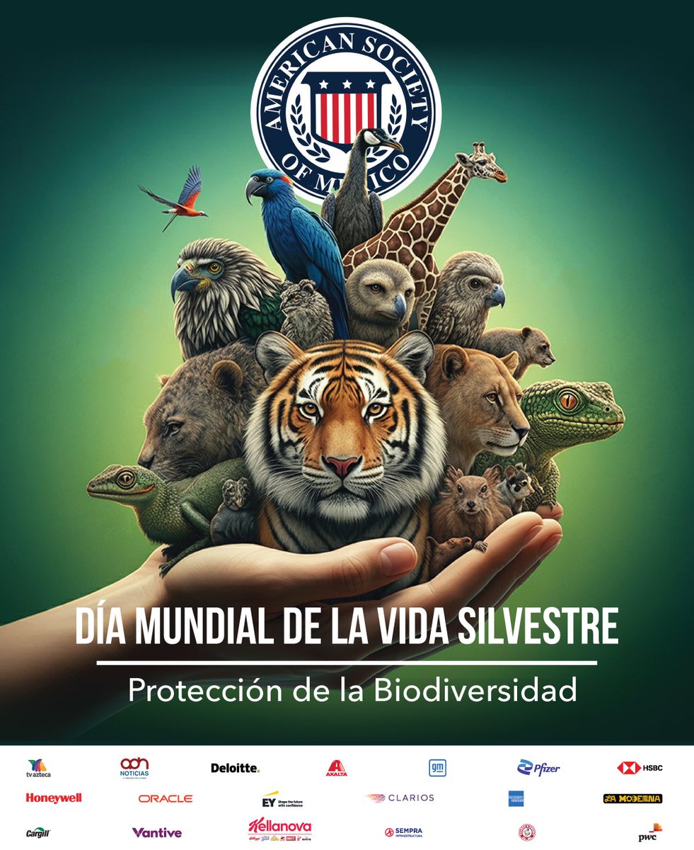 amsocmx's tweet photo. Desde American Society of Mexico conmemoramos el 3 de marzo – Día Mundial de la Vida Silvestre, una fecha que destaca la importancia de proteger la biodiversidad y fortalecer acciones en favor del desarrollo sostenible en la agenda México–EE.UU.

#AMSOC #VidaSilvestre #Sostenibilidad #CooperaciónAmbiental #DiálogoYCooperación