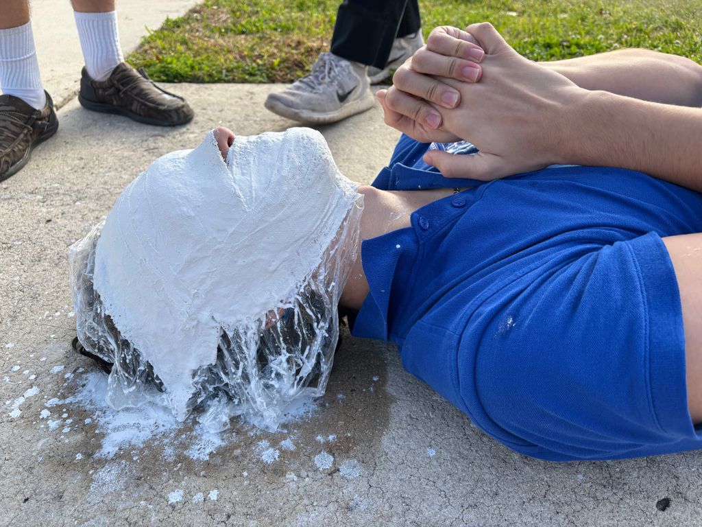 Saint Francis Catholic Academy | SFCA tweet media