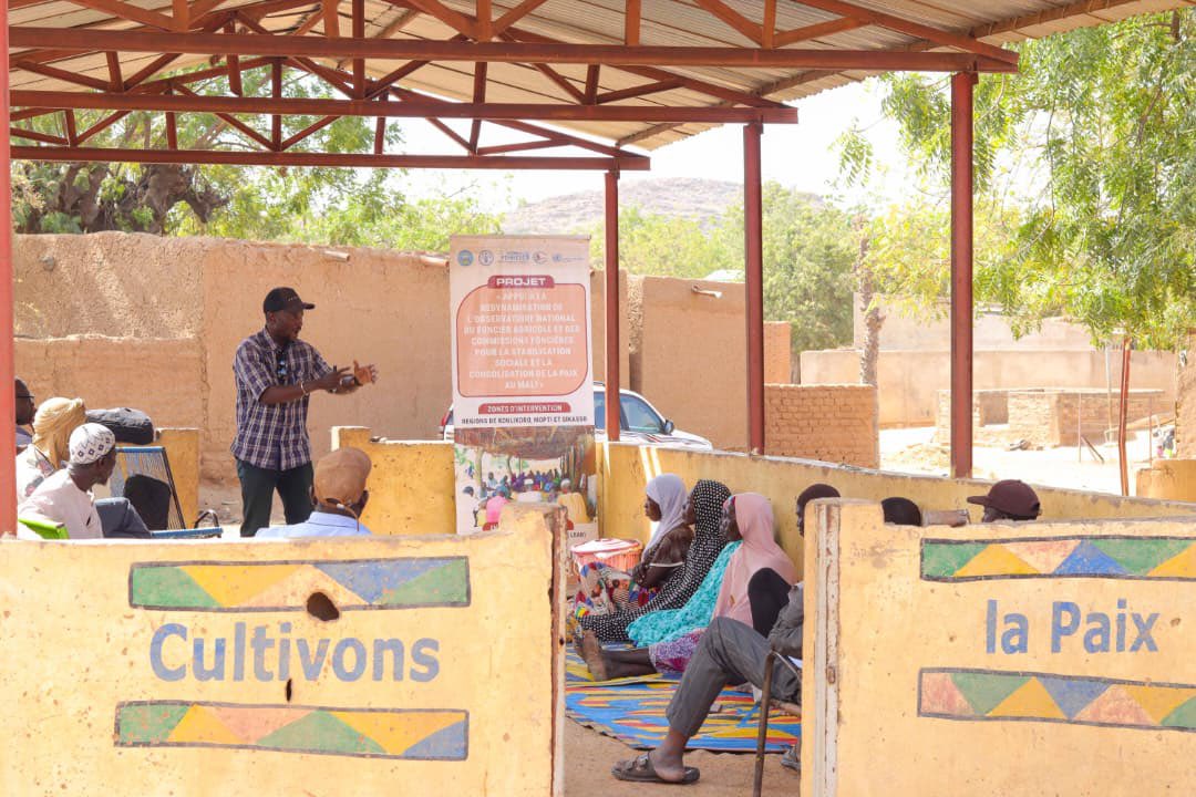 FAO Mali tweet media