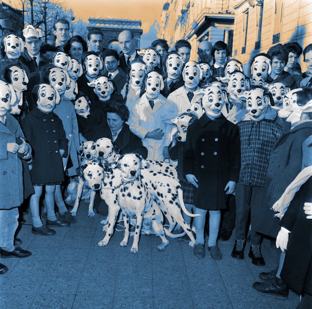 BeesDeluxe's tweet photo. 101 Reasons to come to McCarthy's Toad, 1912 Mass. Ave, Cambridge, MA on Saturday March 14 at 4:00pm.
#blues #acidblues #beesdeluxe #TOAD #McCarthysToad #101Dalmations #Cambridge #CambridgeMA #BostonGlobe #BostonDotCom #Boston25 #bostonherald #BostonGlobeEnt https://t.co/VP8zhv4cf4