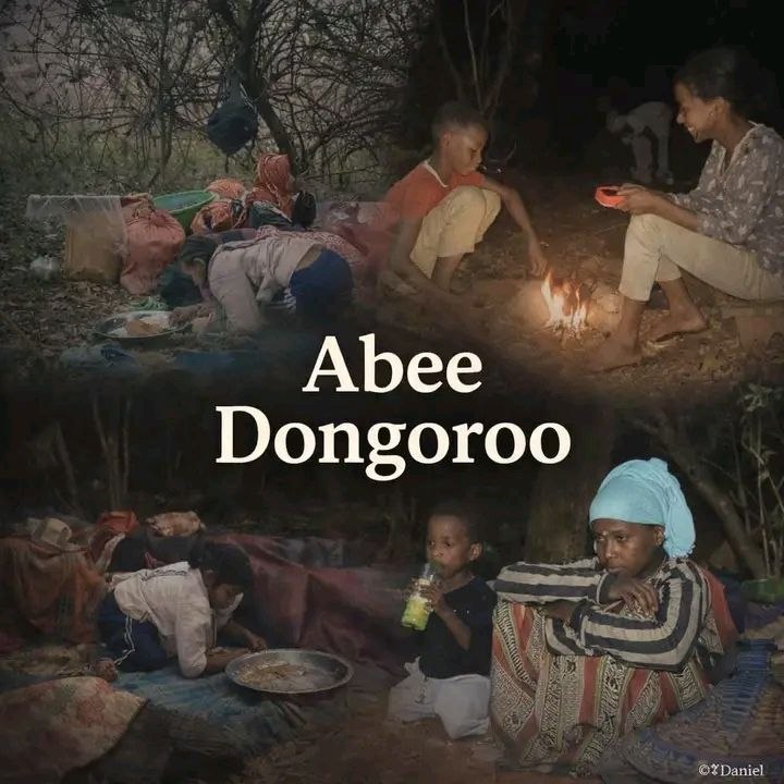 Fano terrorist group at East Wollegga Abe Dogoro kill pregnant mothers by bullet after kill kik by shoes this shame fully