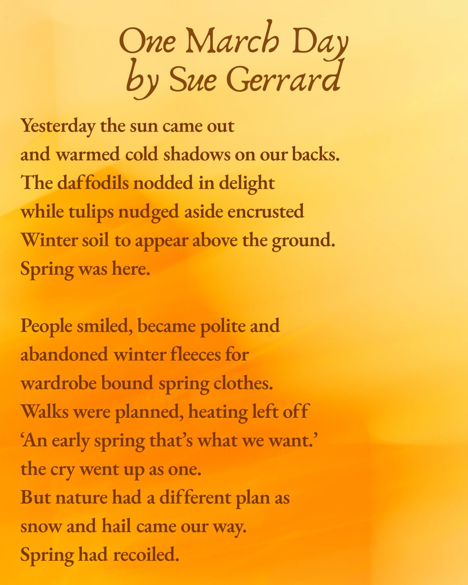 The Book Stops Here 📕 tweet media