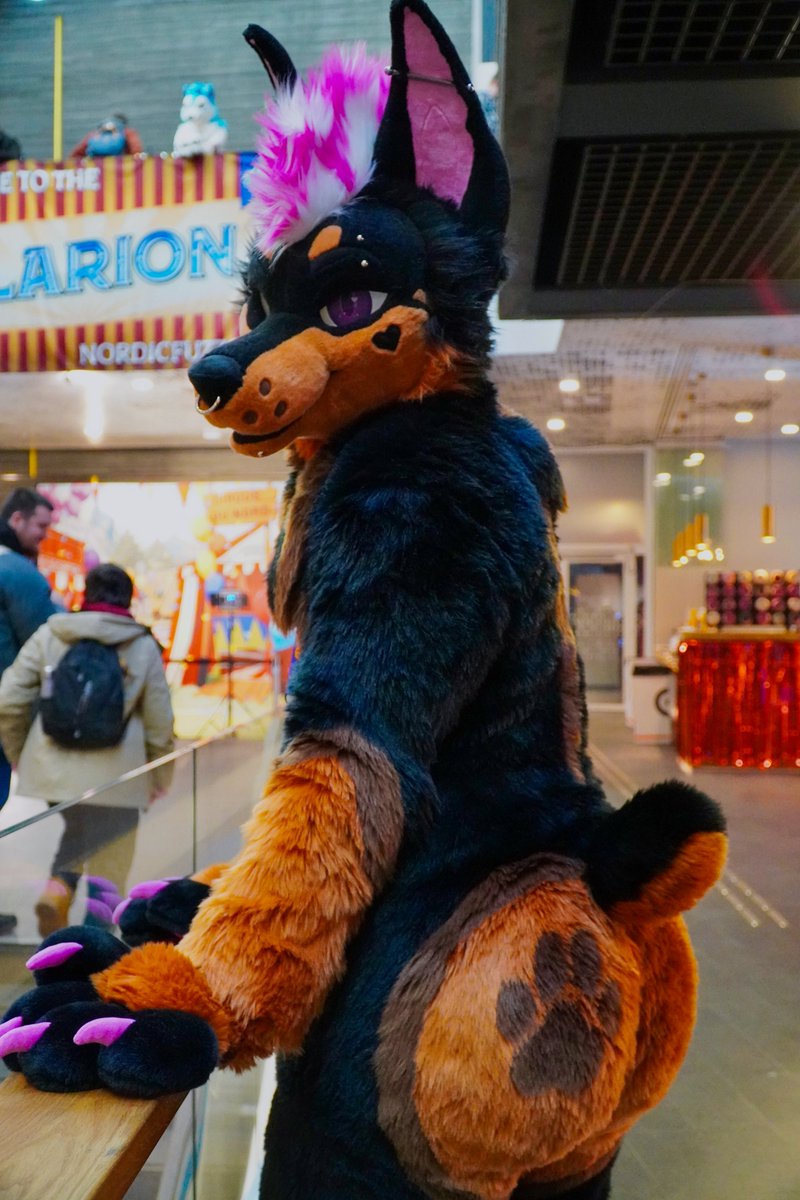 Bropix 🔜 DoggyWeekend Berlin tweet media