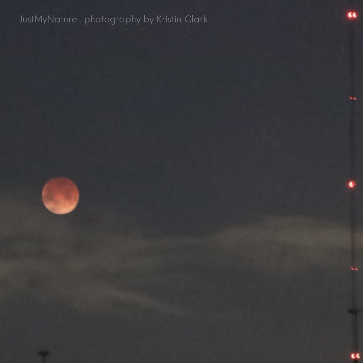 Kristin Clark tweet media