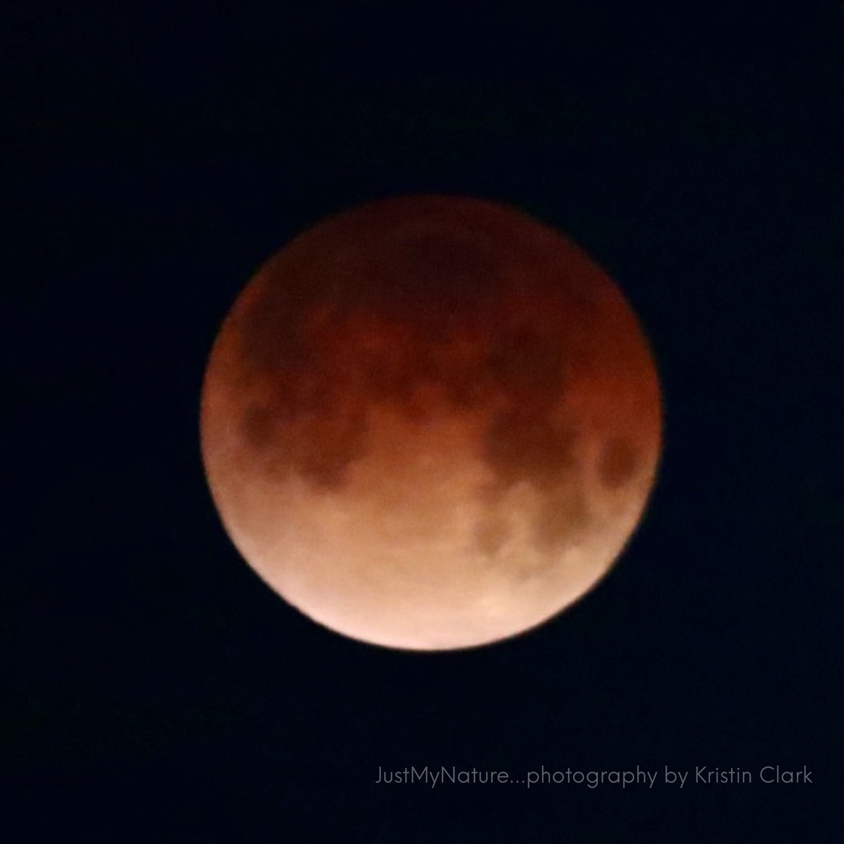 Kristin Clark tweet media