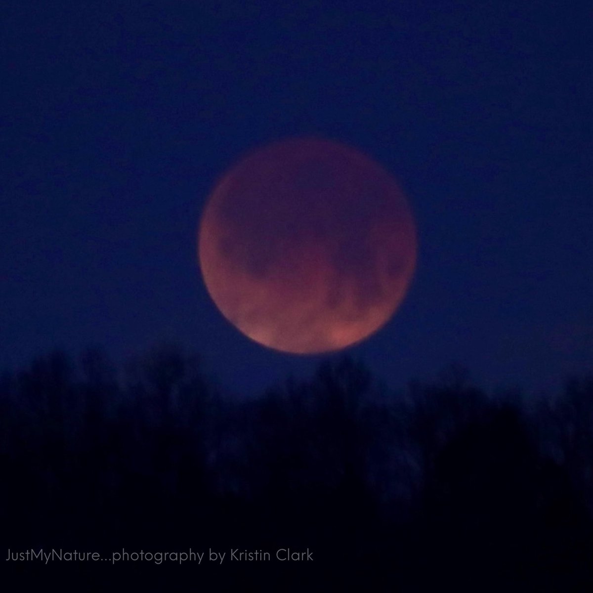 Kristin Clark tweet media