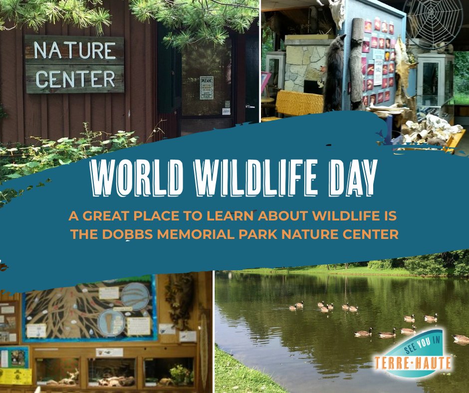 See You In Terre Haute tweet media