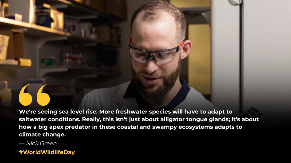 Kennesaw State University Research tweet media