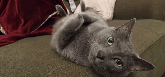 EARA France tweet media