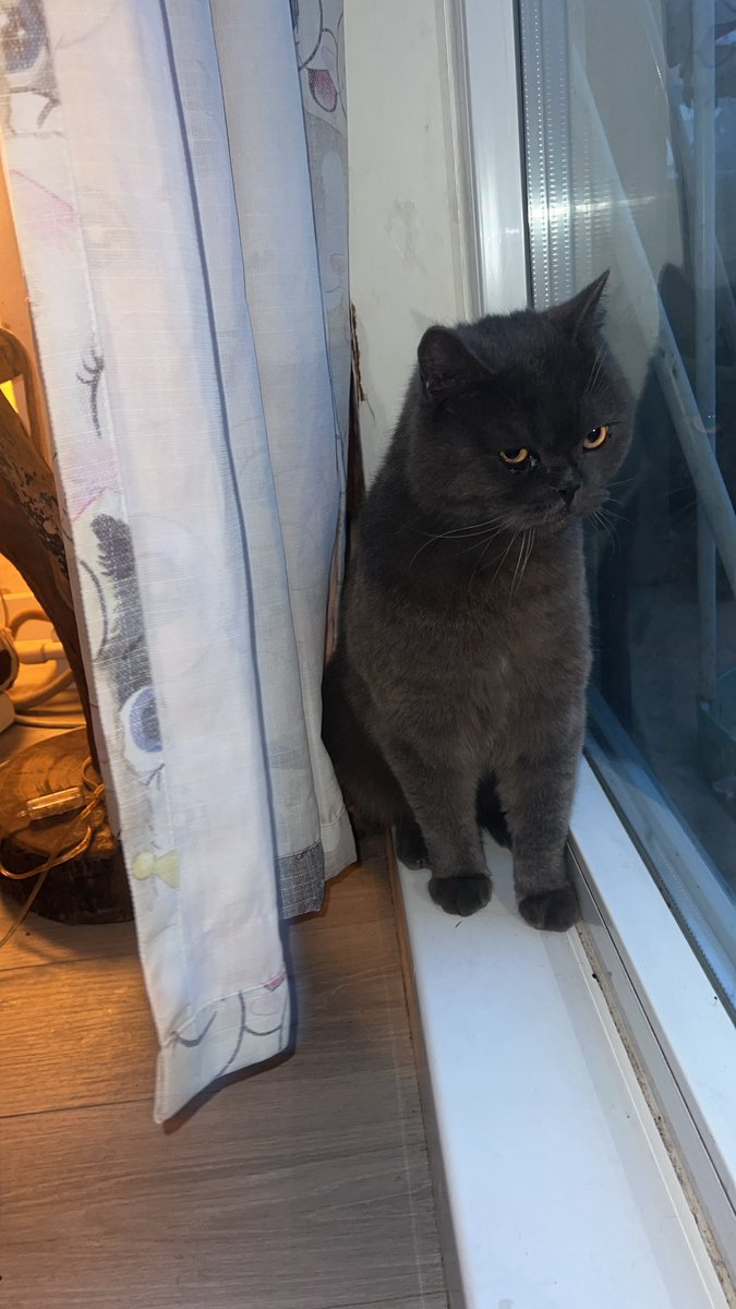 Rapizm Çağla tweet media