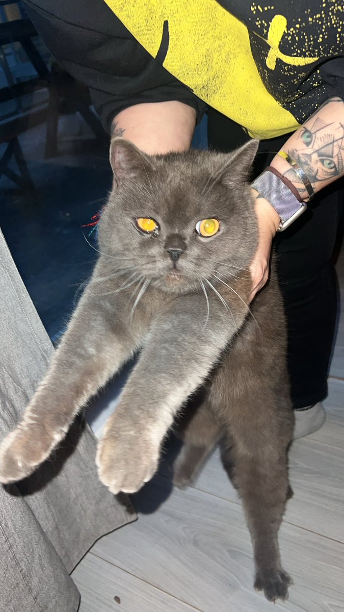 Rapizm Çağla tweet media