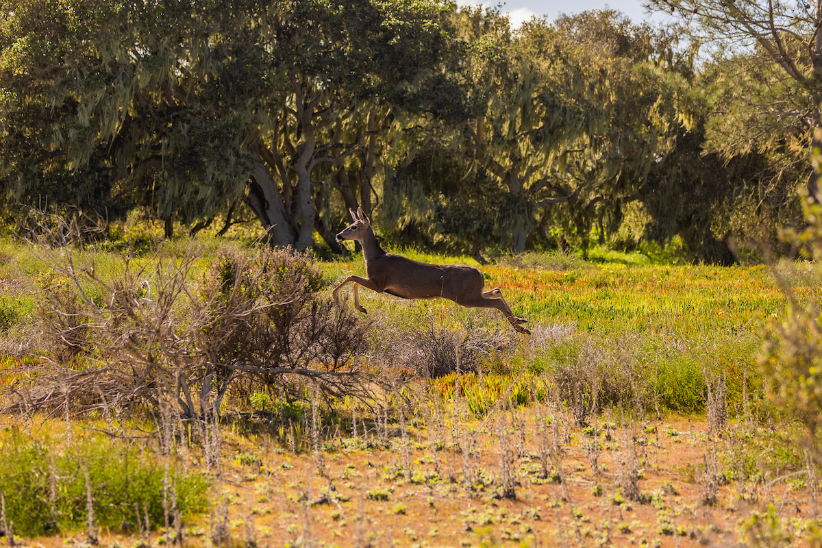 Cal State Monterey Bay tweet media