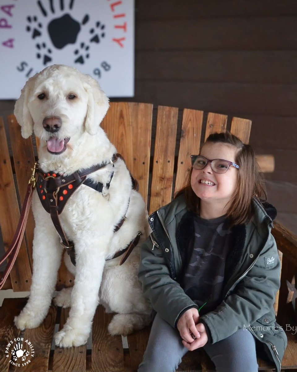 4 Paws For Ability tweet media