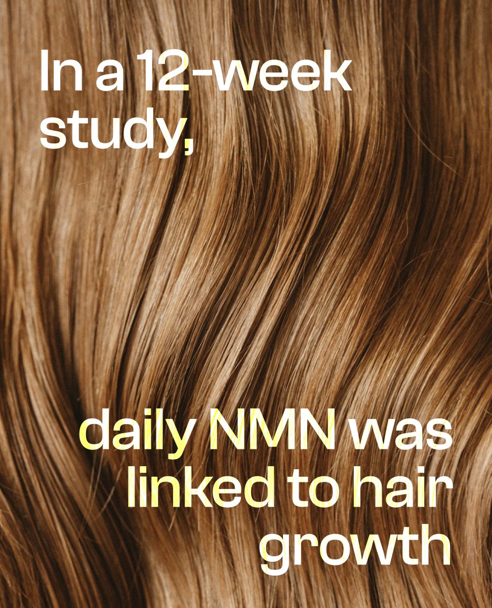 NOVOS Labs tweet media