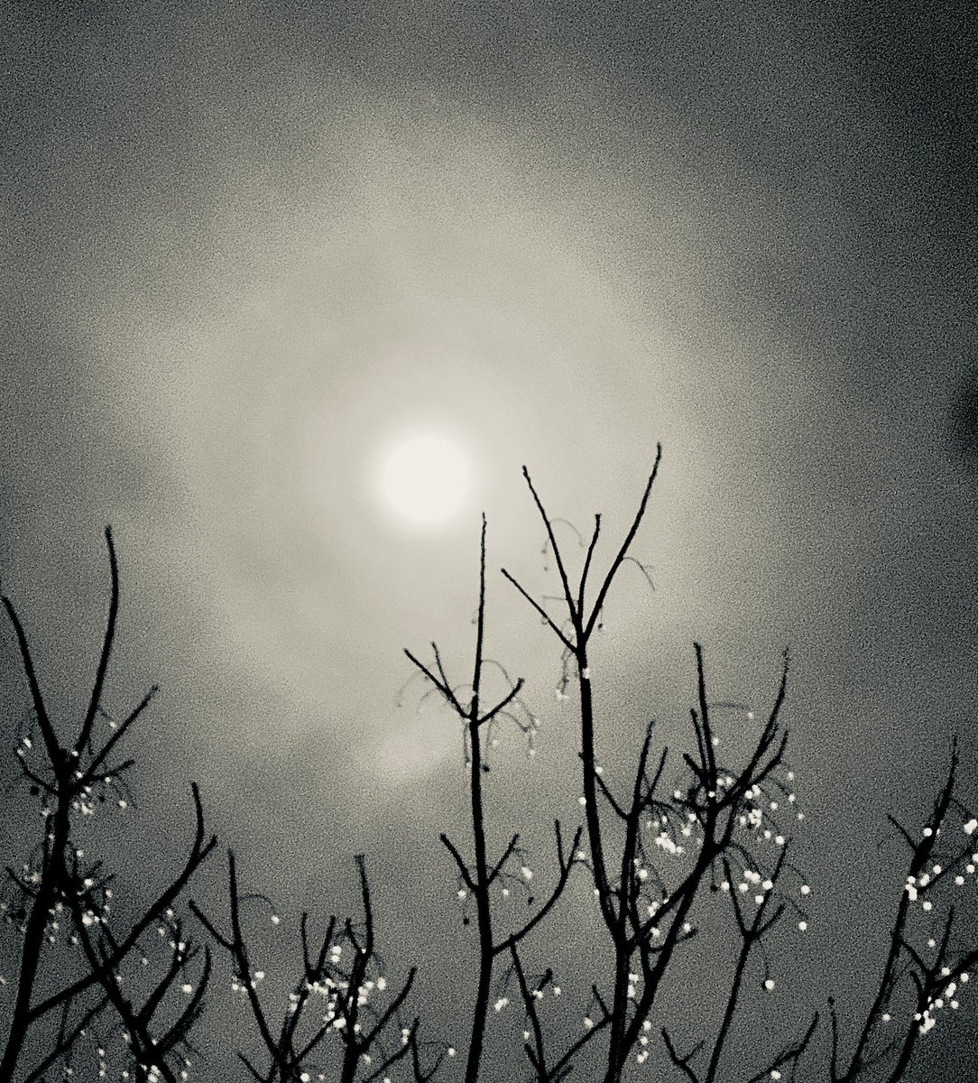 硫酸铜炒饭 tweet media