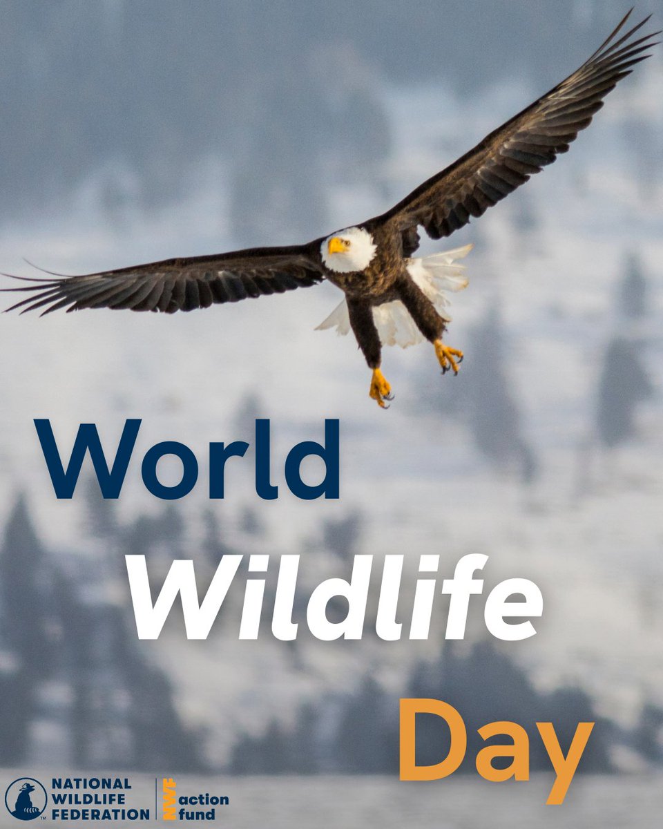 National Wildlife Federation Action Fund tweet media