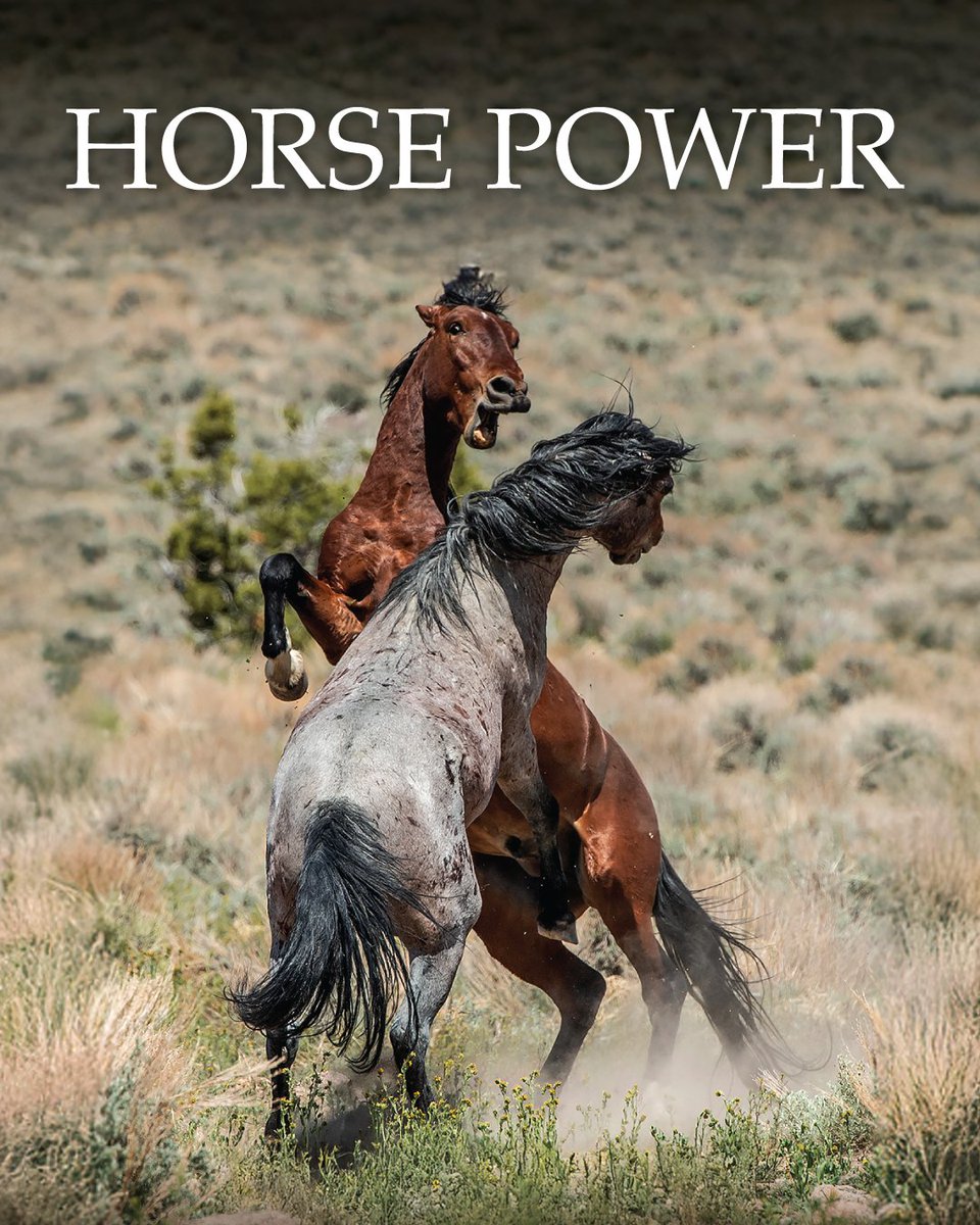 Science North & Dynamic Earth tweet media