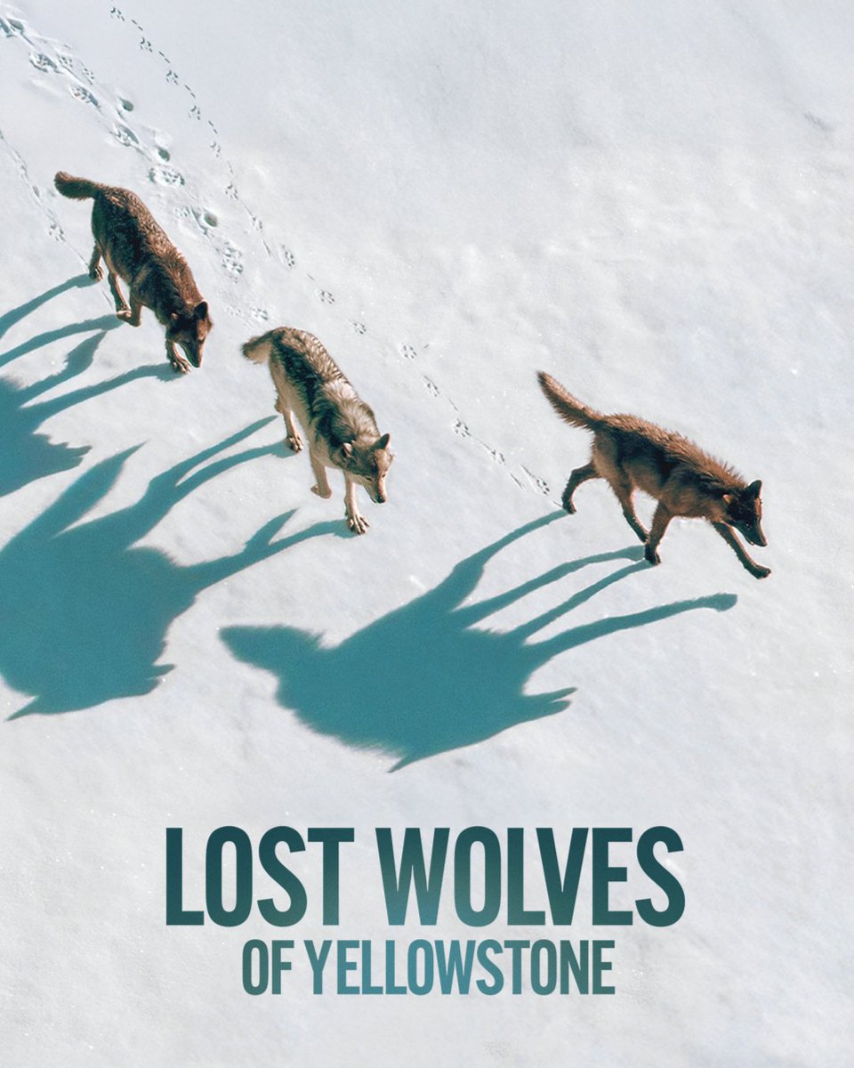 Science North & Dynamic Earth tweet media