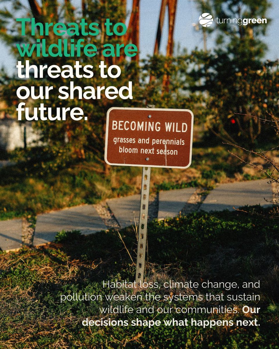 Turning Green tweet media