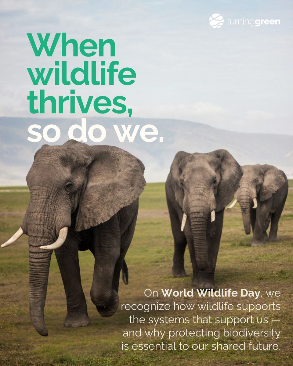 Turning Green tweet media