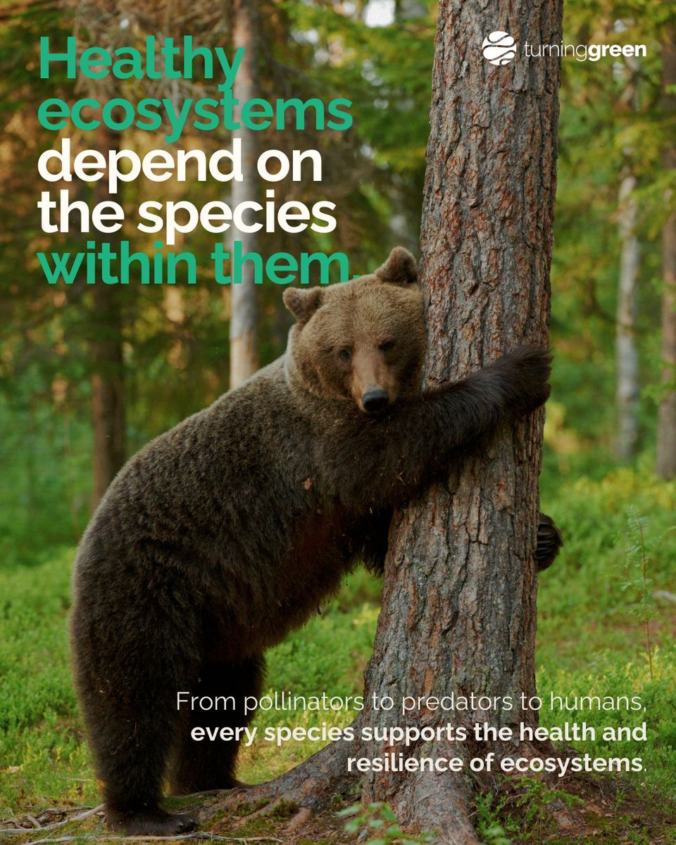 Turning Green tweet media